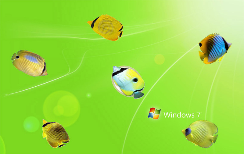 Moving Butterflyfish Wallpaper Screenshot
